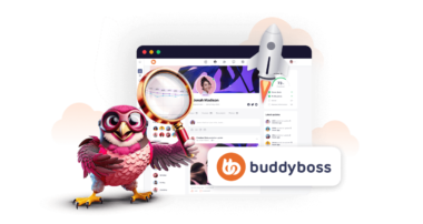 BuddyBoss Review