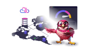 Featured Image - Introducing RapydCDN