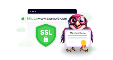Understanding SSL Certificates and Their Role in Website Security - Rapyd Cloud Blog Understanding SSL Certificates and Their Role in Website Security