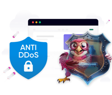 Preventing DDoS Attacks