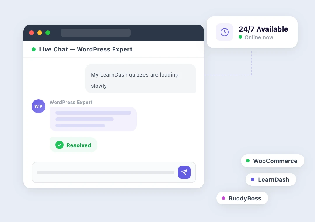 Live chat support helping resolve a client site issue with WordPress expertise