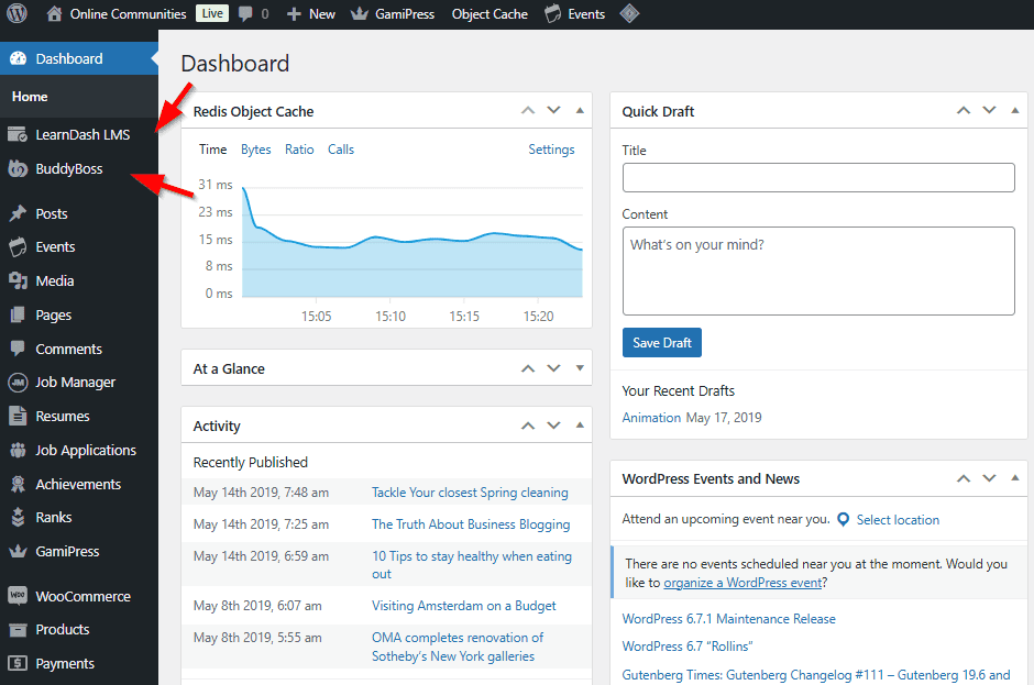 BuddyBoss Integration