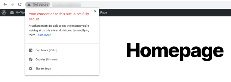 fix mixed content issue WordPress