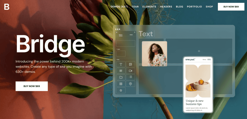 Bridge Theme