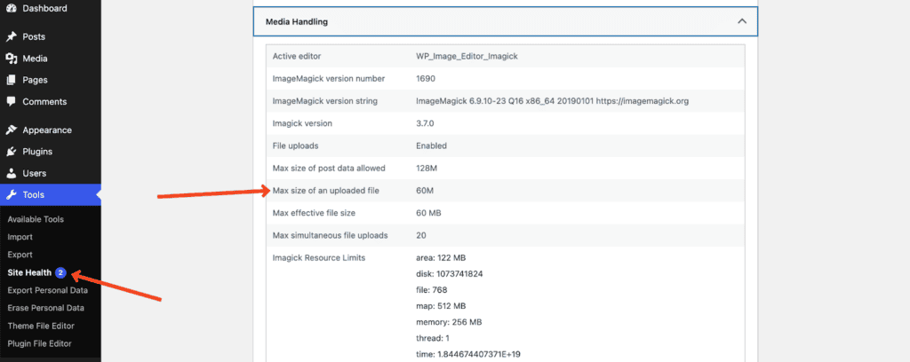 WordPress Site Health
