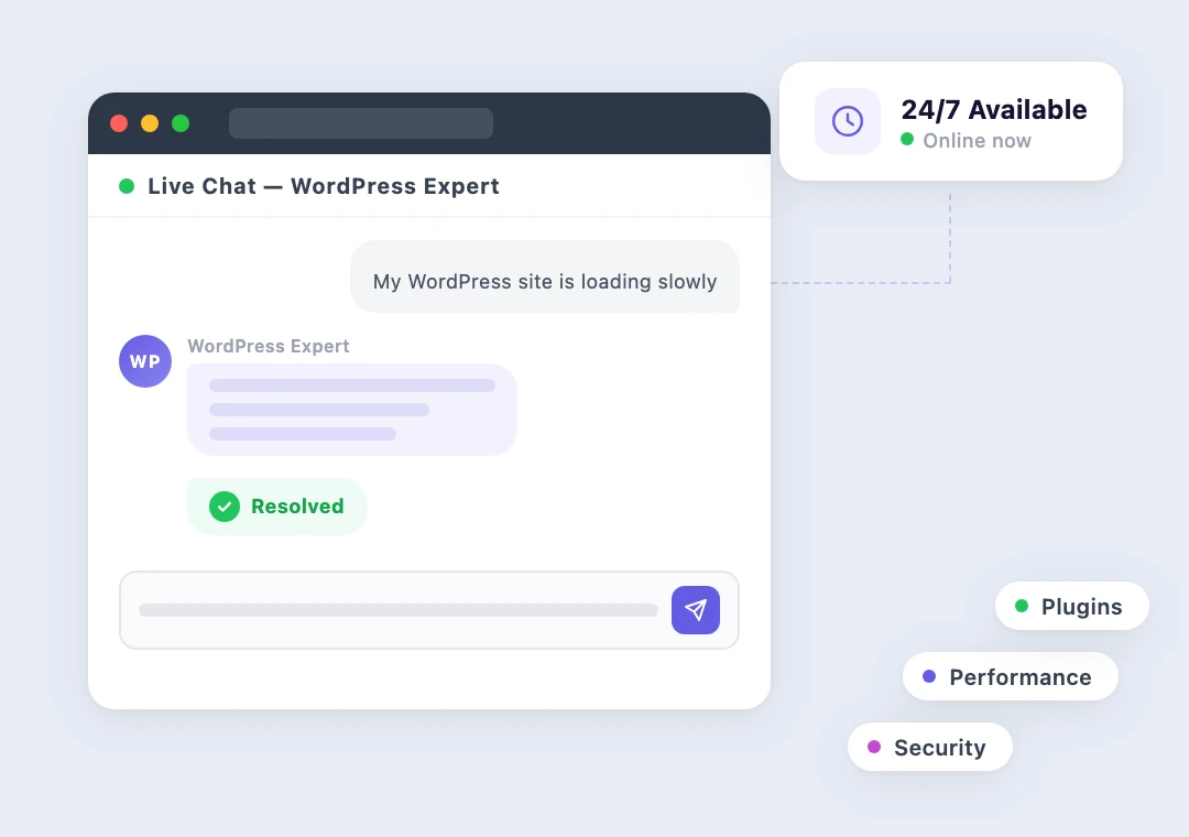 Live chat window with WordPress expert resolving a performance issue